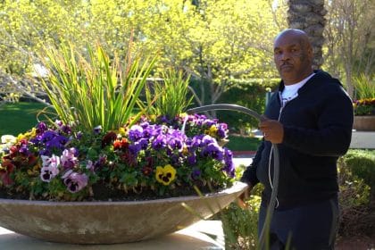 Mike Tyson's Chilling Warning to Social Media Trolls: A Look at His Unwavering Legacy and Upcoming Clash with Jake Paul