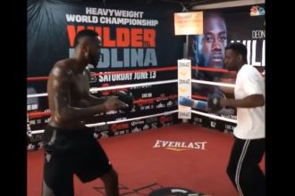 "Deontay Wilder vs. Carlos Takam: The Showdown Boxing Fans Have Been Begging For!"