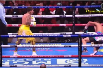 Fans Divided as Gervonta Davis Challenges Canelo Alvarez's Dominance in Boxing
