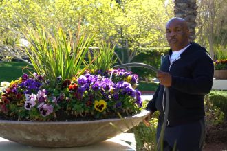 Mike Tyson's Chilling Warning to Social Media Trolls: A Look at His Unwavering Legacy and Upcoming Clash with Jake Paul