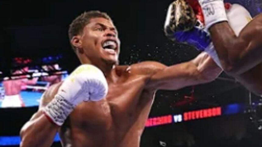 Stevenson's Social Media Fury: Lomachenko-Berinchyk Matchup Sparks Controversy in Lightweight Division