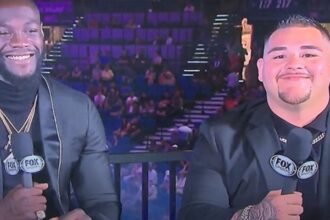 "Heavyweight Showdown: Kabayel vs. Sanchez Set to Rock the Boxing World!"