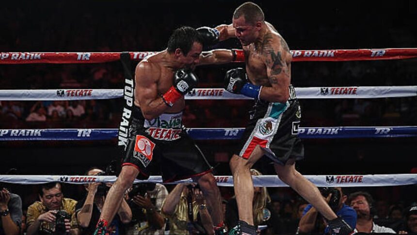 Juan Manuel Marquez: An Excursion from Humble Starting points to Boxing Royalty