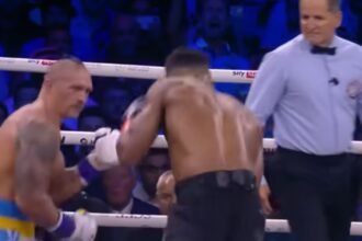"Usyk’s Surprise Move: The Gift of the IBF Title Sparks Controversy"