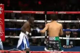 "Espinoza’s Brutal Beatdown: Featherweight King Retains WBO Title in Stunning Fashion"