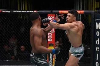 "Jamahal Hill's Devastating KO of Johnny Walker Sets the Stage for UFC 303!"