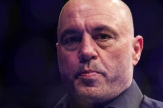 "Rogan's Reality Check: MMA Guru's Candid Commentary Sparks Boxing vs. UFC Debate"