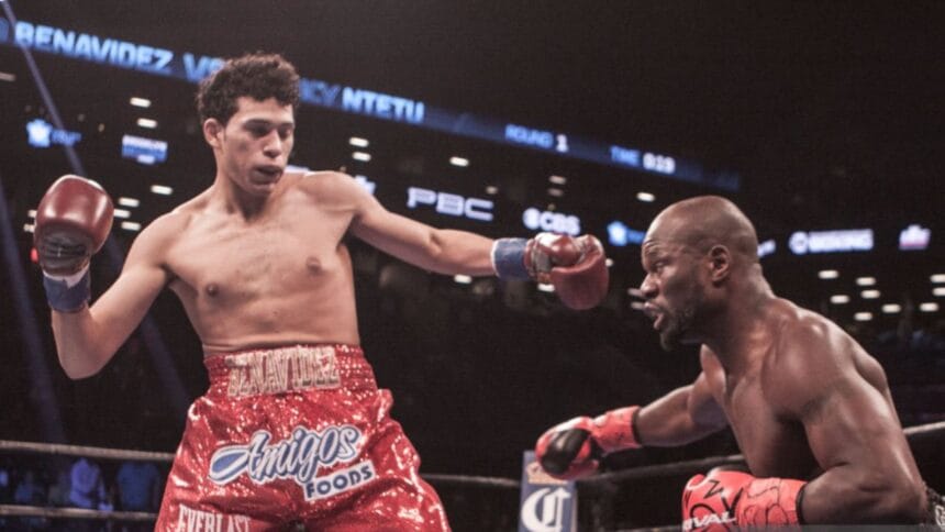 "David Benavidez: From Super Middleweight King to Light Heavyweight Contender – The Financial Impact"