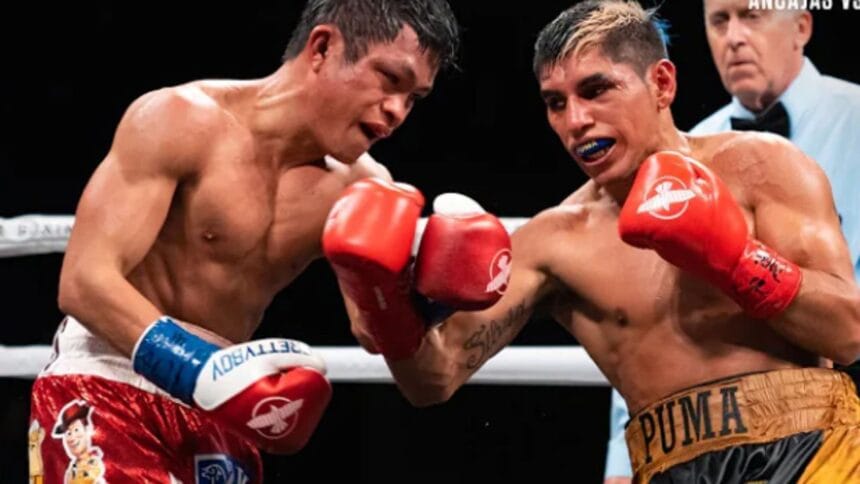 "Puma Power: Fernando Martinez’s Unstoppable Drive to Unify Titles in Tokyo"