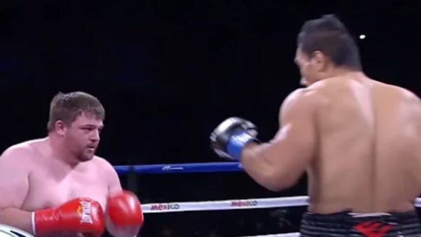 "From Iranian Hulk to Taishan Dong: The Giants Who Shook Boxing's Core"