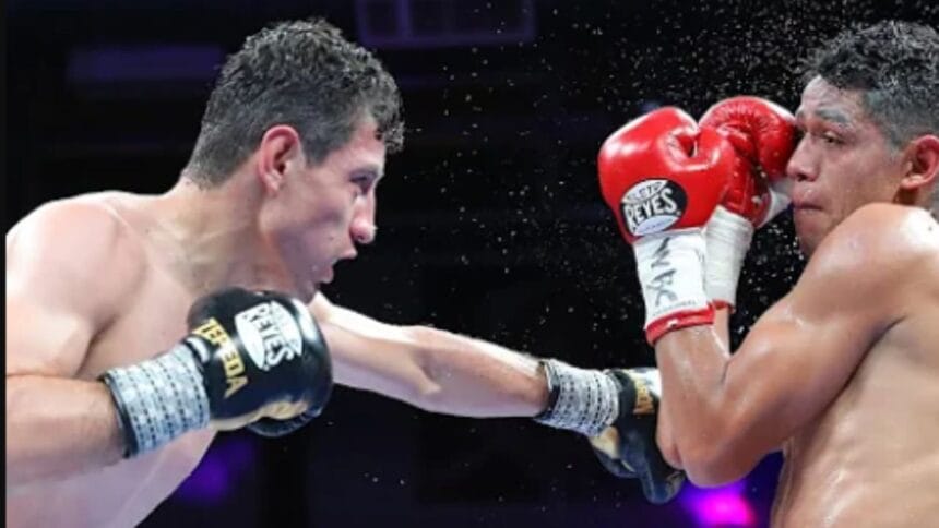 "Zepeda’s November Thriller: Will Kambosos or Farmer Face the Unbeaten Sensation in Saudi Arabia?"