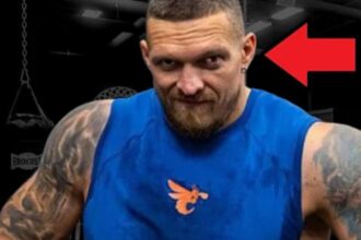 “Rematch of the Century: Usyk vs. Fury and the New Faces in the Top 10 Heavyweights”