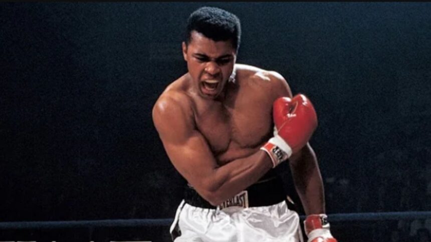 “From Glory to Adversity: The Untold Stories of Muhammad Ali's Most Pivotal Fights”