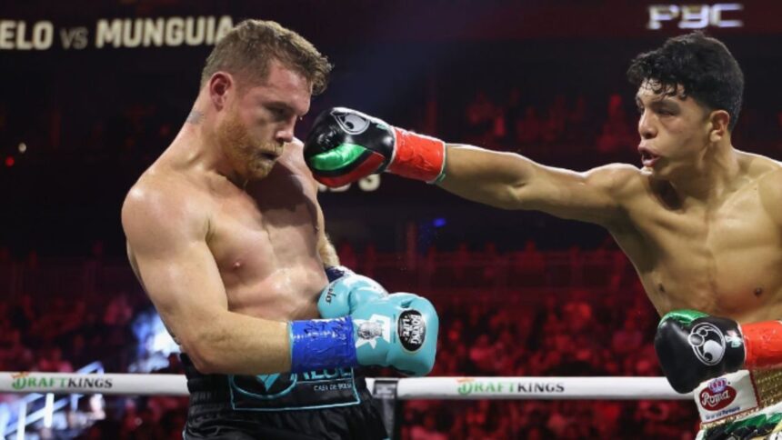 "WBC's New Belt for Canelo vs. Berlanga: A Tribute or a Marketing Gimmick?"